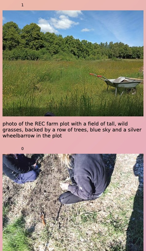 screenshot image of the REC live interface with two photos that each have captions for them